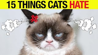 15 Things Cats TRULY Hate!