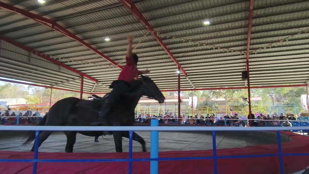2026.02.07台南走馬瀨農場一日遊