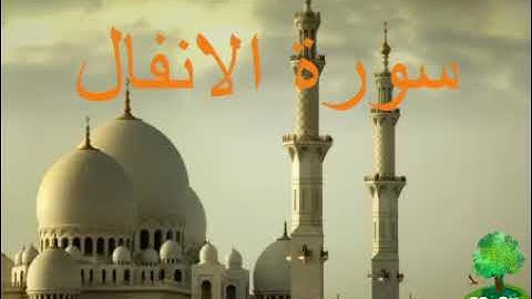 سورة الأنفال الشيخ مصطفى الفرجاني