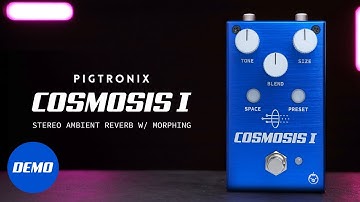 Pigtronix Cosmosis 1 | Stereo Ambient Reverb with Morphing | Official Demo