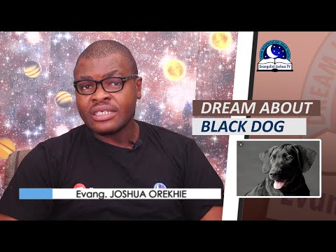 Video: Why Is The Black Dog Dreaming