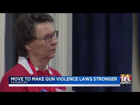 move-to-make-gun-violence-laws-stronger