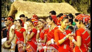 Toraboti Bori Mising Classic Songs| Oi nitom Collection