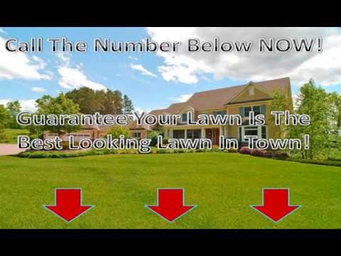 Lawn Service Jacksonville Fl - Hqdefault