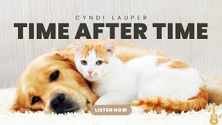 Cyndi Lauper - Time After Time (HD Music Video) ft. Cute Dogs