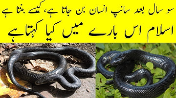 The Truth behind ichadhari Naag and Nagin according to | Islam in Urdu | Sunehri Paigham