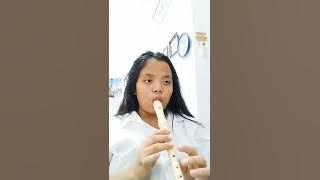 TR1  Domi Sinaga Rekorder 