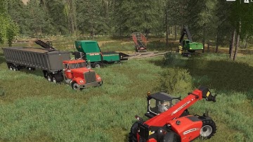 Building A Farm Out Of A Forest From Scratch On Grizzly Mountain EP#8 | FS19 Timelapse |