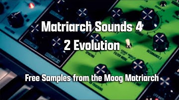 2 Evolution - Free Moog Matriarch Samples!