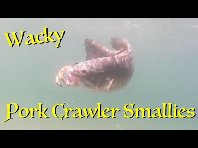 Wacky Pork Crawler Smallies 