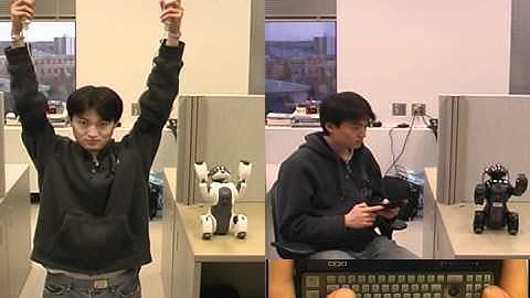 Wiibot