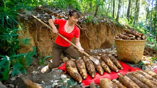 Harvesting 1000 Wild Tubers In The Forest, Go To Countryside Market Sell Living With Nature