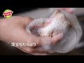 スコッチ･ブライト™ グリーナークリーン PLA ネットスポンジ 製品説明動画