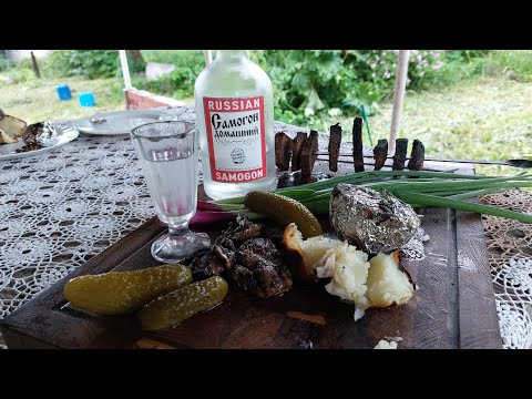 Как вообще реагировать на тот пизд*ц, который сейчас происходит, братцы???
