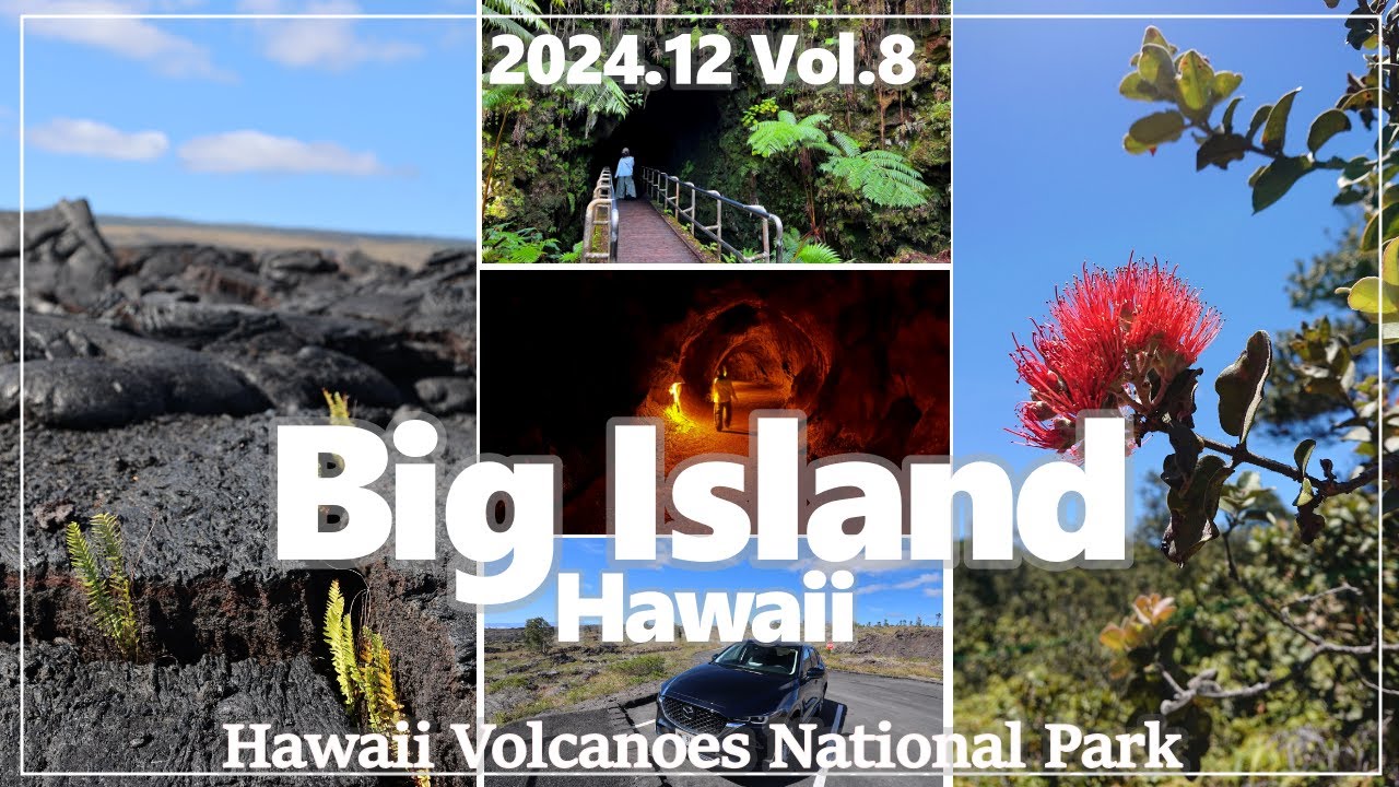 【ハワイ島】キラウエア火山。溶岩で寸断された道路のデッドエンドを見に行きます【2024年12月】#8