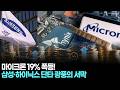 마이크론, 19% 폭등…삼성전자·SK하이닉스 단타 광풍의 서막