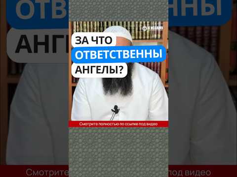 50.2 За что ответственны ангелы? #Shorts Ринат Абу Мухаммад