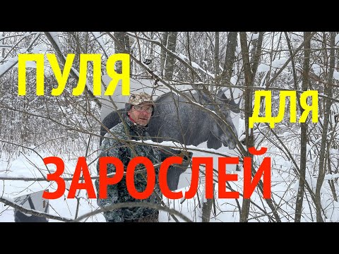 Какой пулей стрелять  из нарезного оружия в зарослях?