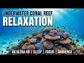 Mind Healing Music to Calm the Mind, Calm Nerves • Peaceful Relaxation