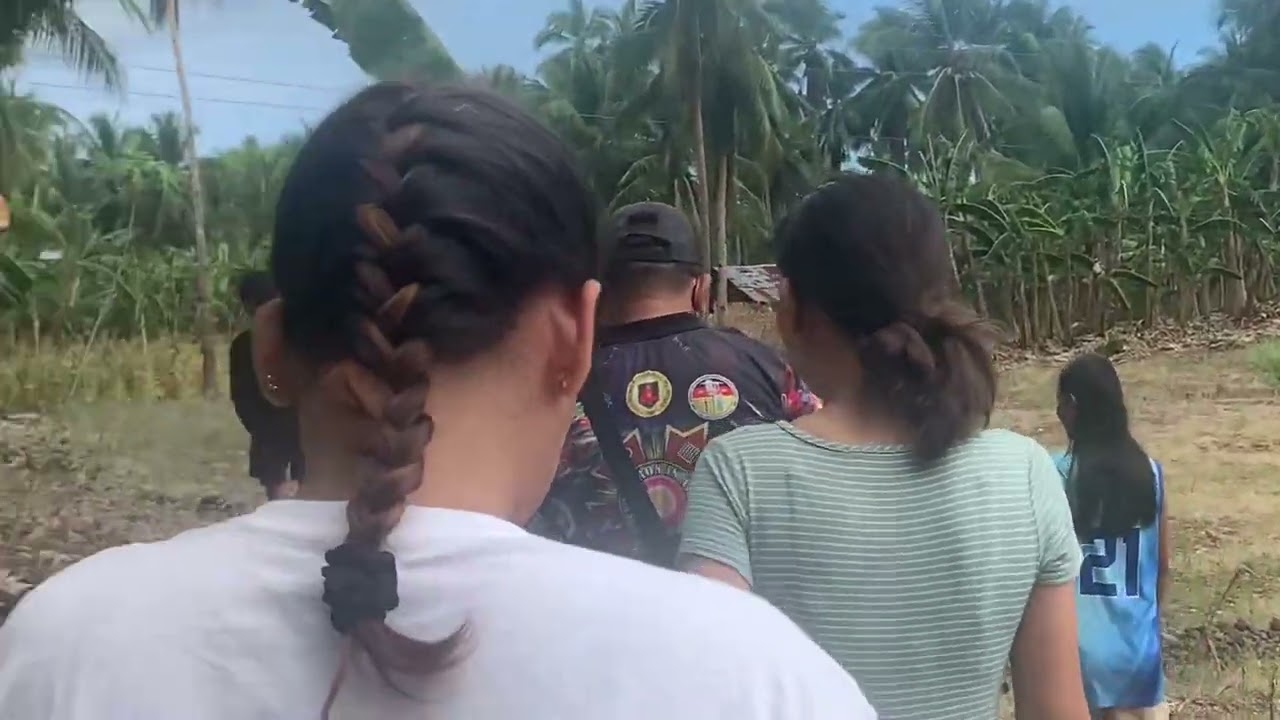 Overlooking view north cebu