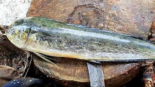 Parala (Mahi Mahi) Fish Cutting And Slicing/Fish Cutting Skills