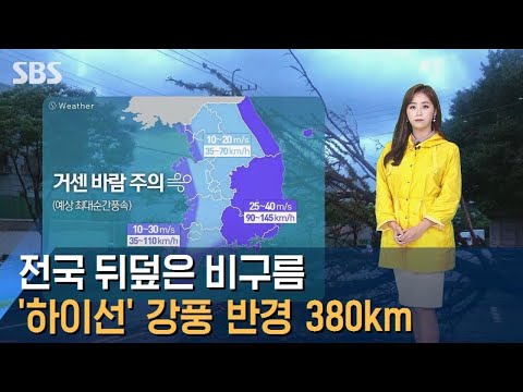 [날씨] 전국 뒤덮은 비구름…'하이선' 강풍 반경 380km / SBS