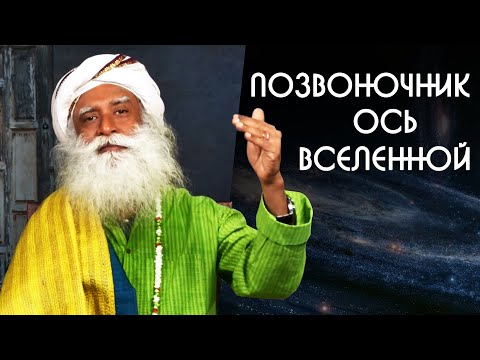 Позвоночник человека -