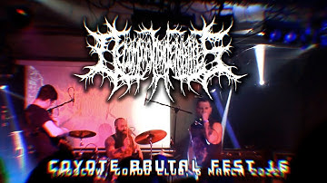 DECOMPOSITION OF ENTRAILS - Coyote Brutal Fest 16 (fragment) #RUMF #SBDM