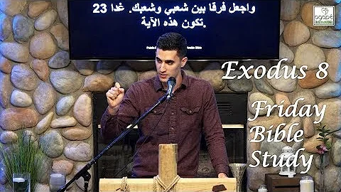 Exodus 8 Bible Study (Second, Third & Fourth Plagues: Frogs/Gnats/Flies) | Pastor Daniel Batarseh