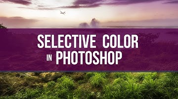 Selective Color Adjustment in Photoshop