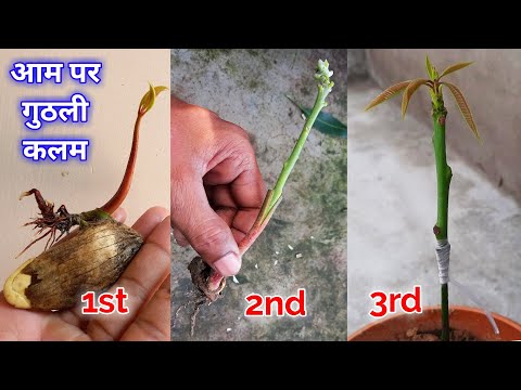 वीडियो: बच्चों की कलम की कास्ट कैसे करें