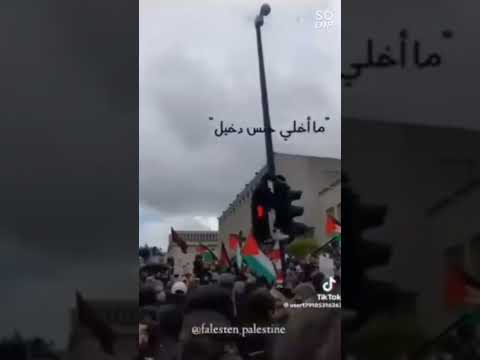 يا دنيا سمعاني ما اخلي جنس دخيل يخش اوطاني فلسطين القدس عاصمة فلسطين غزة
