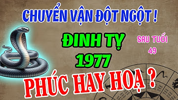 ĐINH TỴ 1977 - Sau 49 Tuổi – Đón BIẾN CỐ LỚN: PHÚC TRỜI MỞ RA hay HỌA GIÁNG ĐẦU?