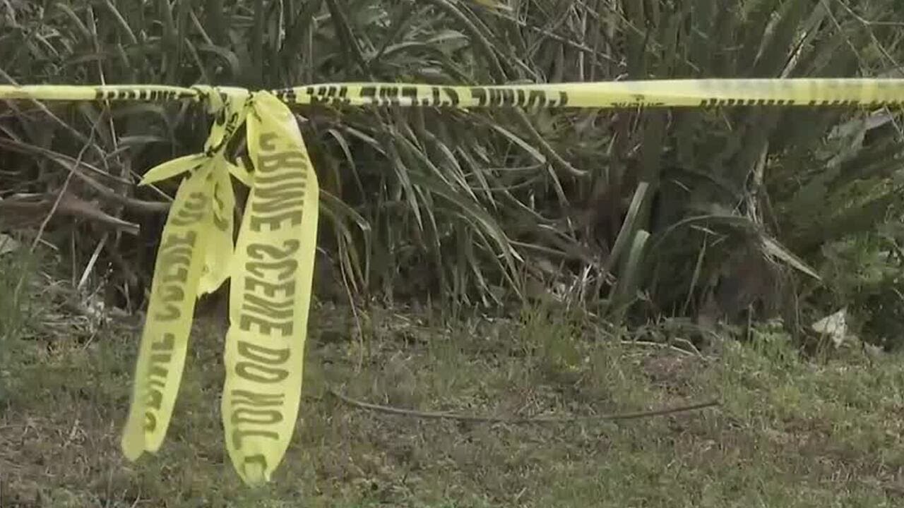 Bossier coroner identifies woman killed in Bossier City shooting - YouTube