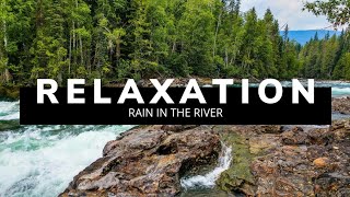 Sleep Sounds Of Rain In The Nature River | Relaxing Rain Sounds | Rain Sounds For Sleeping