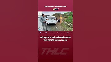 Xử phạt tài xế trải chiếu ngồi ăn cơm trên cao tốc Nội Bài - Lào Cai | THLC