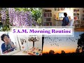 5 AM Morning Routine | Sunrise Chasing & New Writing Project