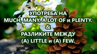 :  : Much, Many, A lot of, Plenty + FREE PDF