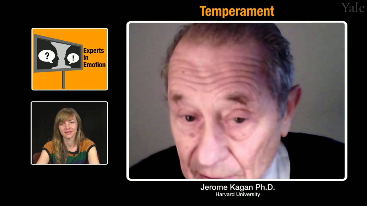 Experts in Emotion 15.1a -- Jerome Kagan on Temperament