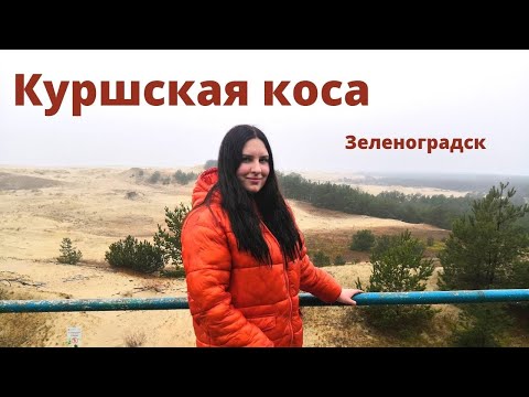 Экскурсия на Куршскую косу в Зеленоградске | ТАНЦУЮЩИЙ ЛЕС | Высота Эфа и ПЕСЧАНЫЕ ДЮНЫ