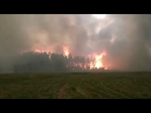 Глава МЧС прибыл в зону ликвидации природных пожаров в Якутии