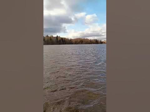 Видео не передаëт силу шквального ветра) #приключения #погода #валдай # ...
