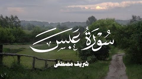سورة عبس كاملة شريف مصطفى /   surah Abasa Sherif Mostafa
