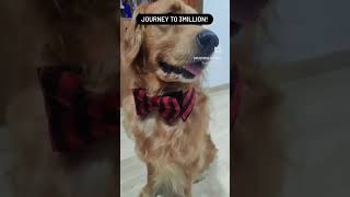 How We Celebrated Our 3 Million On Instagram