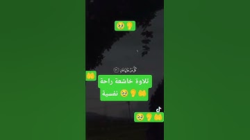 #القرآن_الكريم #المصحف #تلاوة_خاشعة #راحة_نفسية #القرآن #اللهم_صل_وسلم_على_نبينا_محمد #الله #الرحمن