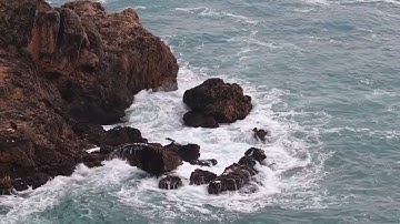 ياسر الدوسري / تلاوة بنبرة حزينة ينفطر لها القلب 💙