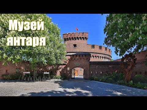 Video: Muzium Sejarah dan Seni Serantau Kaliningrad: penerangan, sejarah dan ulasan