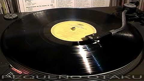 ORQUESTA SINFÓNICA RADIO BERLÍN - FRICSAY "DANUBIO AZUL, VALSES Y MELODÍAS DE STRAUSS" (1961 R 1984)