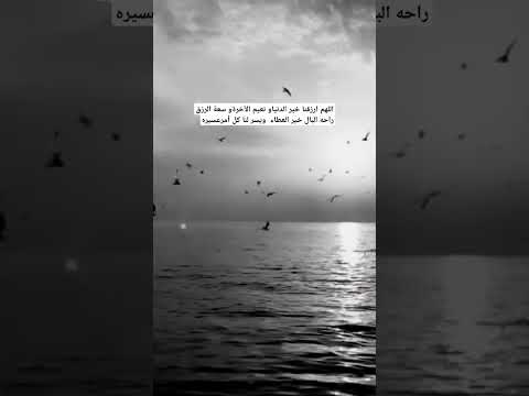 أغيب مشاري راشد العفاسي