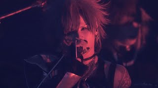 Royz武道館公演開催記念 期間限定公開】 ONEMAN TOUR 「幻影都市から愛